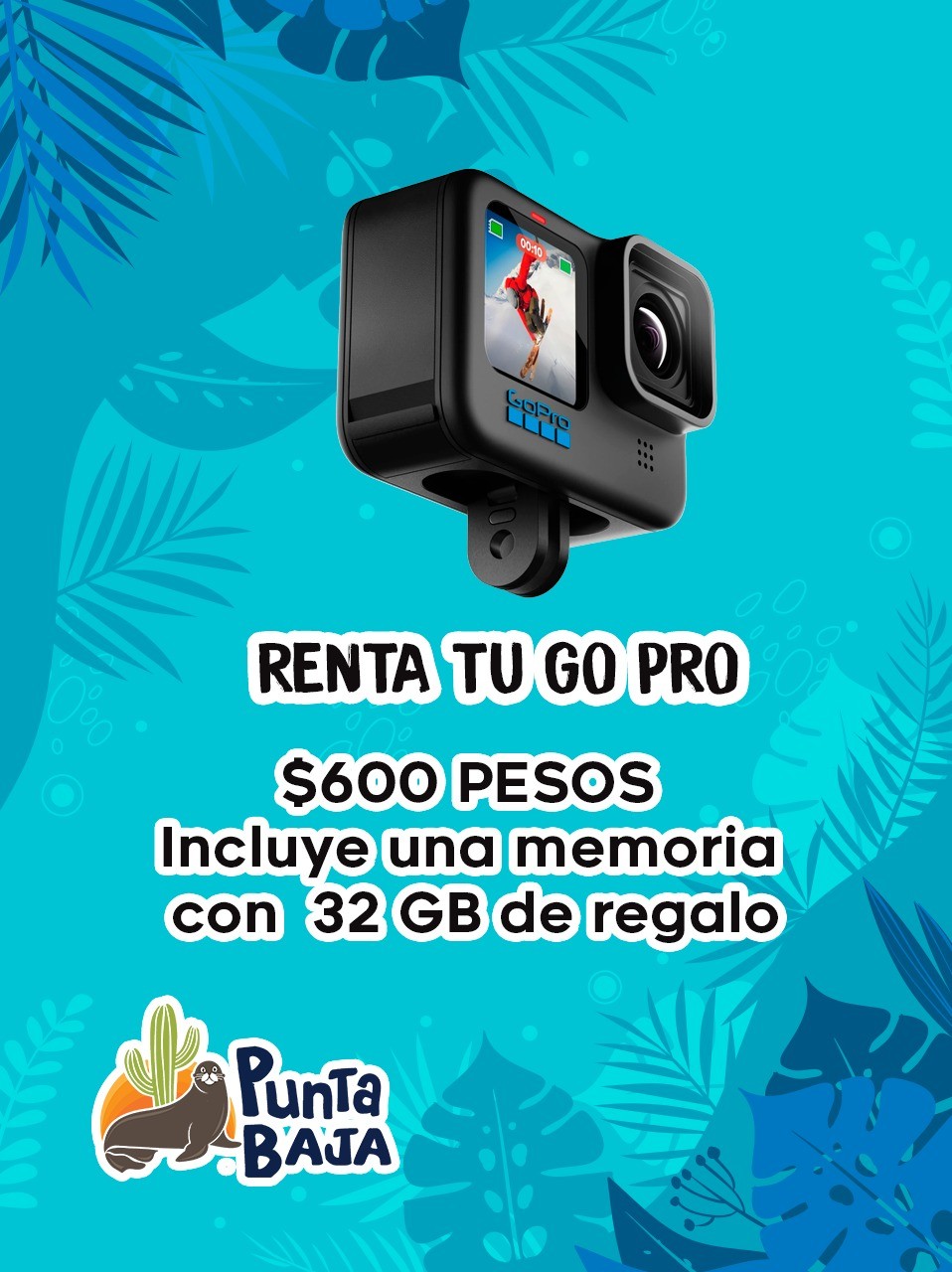 GO PRO FOR RENT