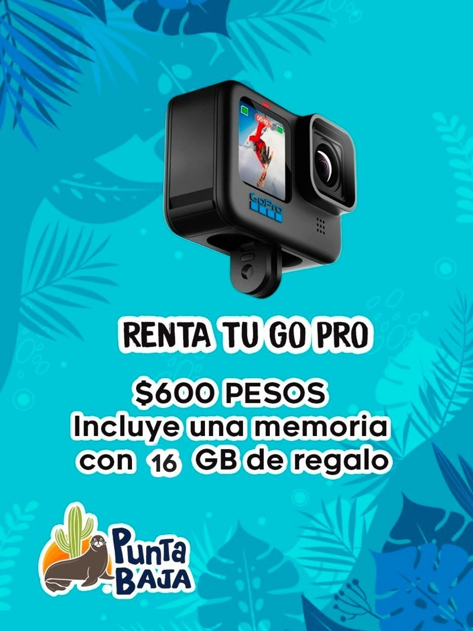 GO PRO FOR RENT